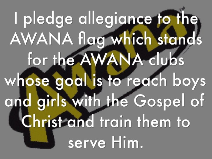 Pledge to the awana flag