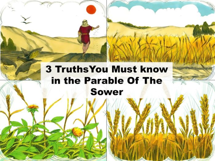 Quotes from parable of the sower