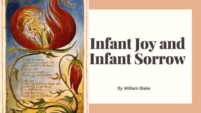 Infant joy william blake analysis