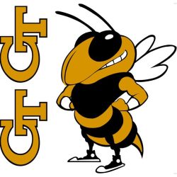 Colleges with yellow jacket mascot