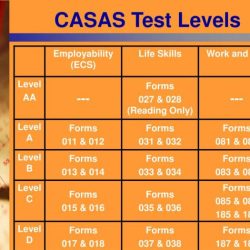 Casas math practice test level d