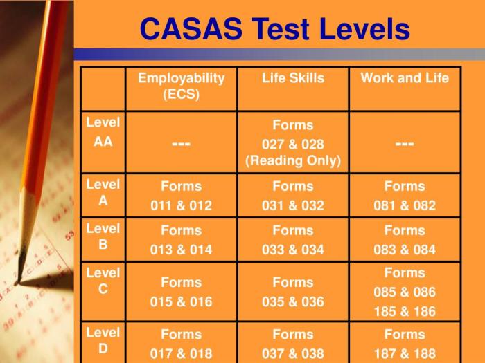 Casas math practice test level d