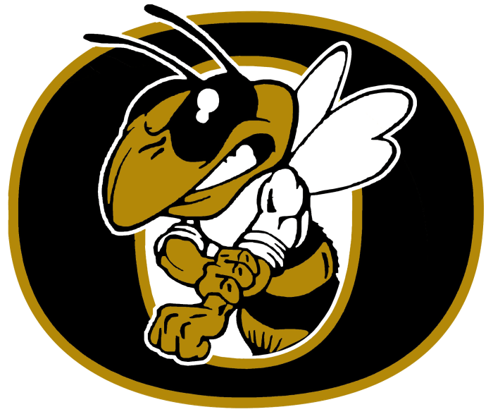 Colleges with yellow jacket mascot