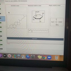 Predict the water solubility of the biomolecules.