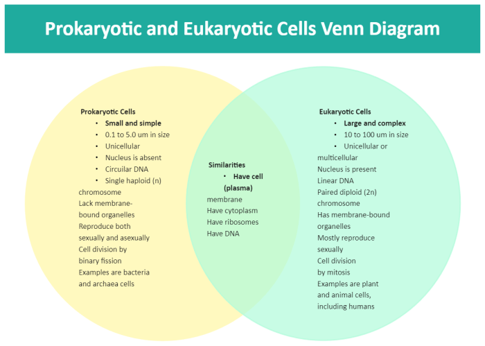 Venn diagram prokaryotic and eukaryotic cells