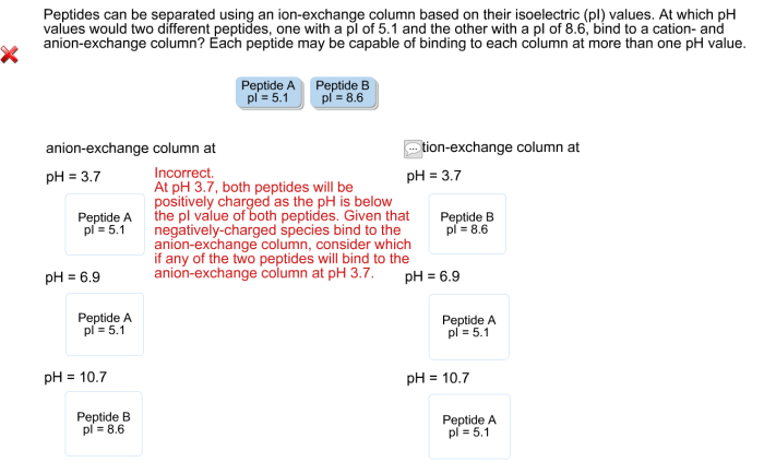 Peptides can be separated using an ion exchange column