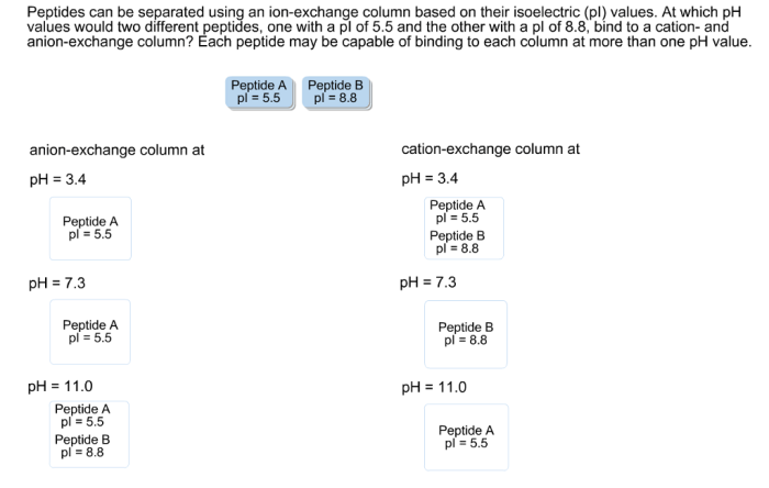 Peptides can be separated using an ion exchange column