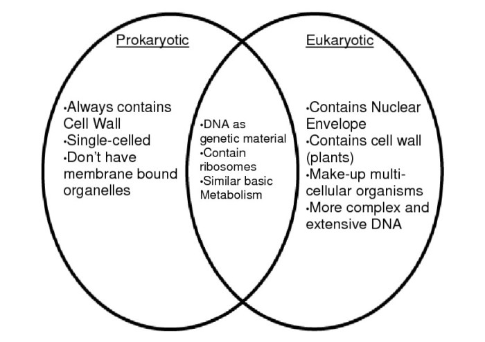 Venn diagram prokaryotic and eukaryotic cells